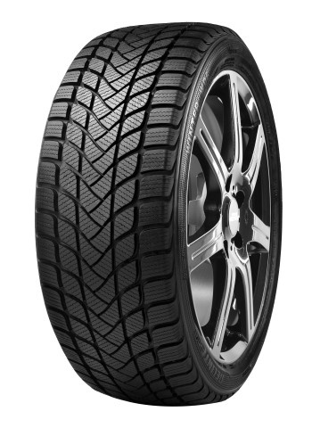 215/55R16 97H DELINTE WD1